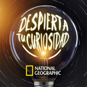DESPIERTA TU CURIOSIDAD