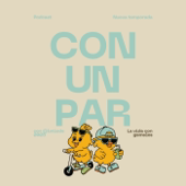 Con Un Par - La vida con gemelos